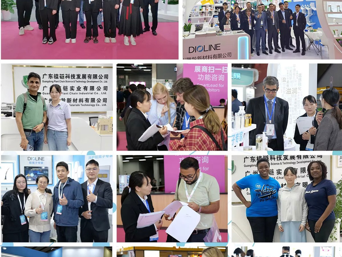 exhibition